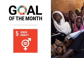 Goal of the Month | March 2021: Gender Equality