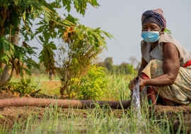 Femme travaillant dans un champ irrigué