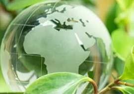 Graphic of green globe and green foliage