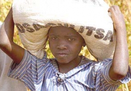 L'aide alimentaire arrive au Malawi, mais la région en recevra-t-elle suffisamment pour éviter de nombreux autres décès ? Photo : ©PAM / Mike Higgins