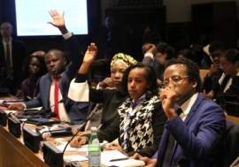 African youth participate at an international youth forum at the UN headquarters in New York. Photo: Africa Renewal/Shu Zhang