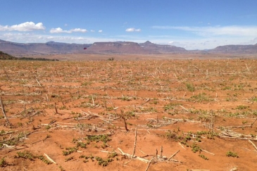 Terres stériles en raison de la sécheresse provoquée par El Niño dans le pays d’Afrique australe du Lesotho. Photo : FAO