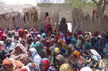 Internally displaced Chadian women, who fled Boko Haram threats, living with host families in Baga-Sola. Photo: OCHA/Mayanne Munan