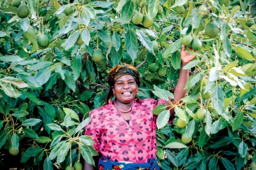 A smallholder avocado farmers in Tanzania's Southern Highlands. Photo credit: USAID Tanzania 