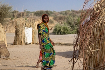 Bassin du lac Tchad : 7,1 millions de personnes peinent à avoir un repas par jour, selon l’ONU