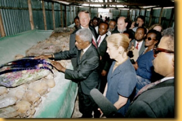 Le Secrétaire général dépose une gerbe sur l'un des lieux du génocide à Mwurire (Rwanda) au cours d'une visite en 1998. Photo : ©ONU / Département de l'information