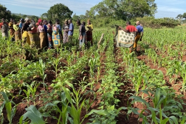 Wanawake wakulima wilayani Kakonko nchini Tanzania waliopokea mafunzo kuhusu mbinu za kukabiliana na mabadiliko ya tabianchi.