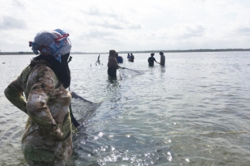 When sea cucumbers are farmed sustainably, they can boost biodiversity and livelihoods in Zanzibar.