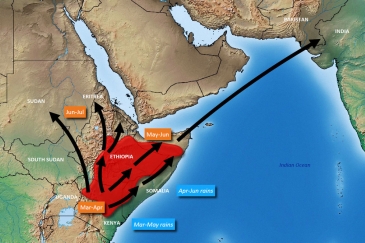 Huu ulikuwa utabiri wa FAO kuhusu mwelekeo wa nzige wa jangwani kwenye eneo la pembe ya Afrika kwa mwezi Machi hadi Juni 2020