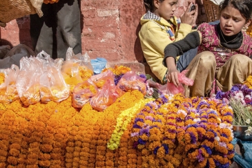 Watoto wakiwa Nepal wanauza maua Durbar Square, Kathmandu. Picha Kutoka: UN News/Eric Ganz