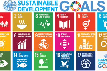 SDG logo