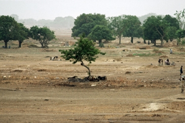 Dried-up riverbed outside Ougadougou, Burkina Faso. Photo: UN Photo/Kay Muldoon