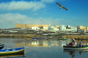Photo: UNDP Tunisia. Climate change is impacting Tunisia's coastal zones affecting both humans and marine biodiversity.