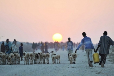 Two young boys carry water next to an camp for displaced people near the town of Jowhar, Somalia.