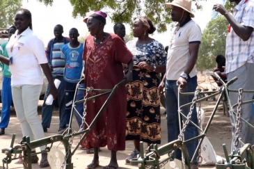 Ox ploughs have been delivered to women's groups in Rumbek North to enable the cultivation of larger areas.