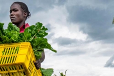 Woman carrying vegetables.