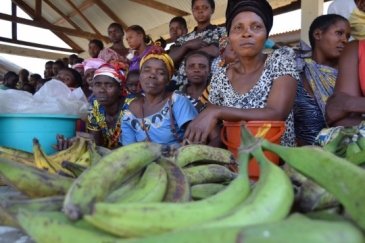 Le continent africain perd en moyenne 4% de son PIB tous les ans en raison du manque d’inclusion des femmes dans le processus de développement et de participation politique. @crédit: Aziza Bangwene/PNUD en RDC