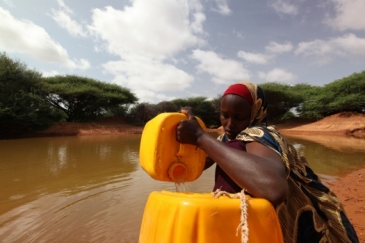 A woman drawing water from a man-made pond in drought-stricken Somali.  Photo: UNDP Somalia