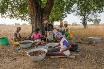 Women under a tree.