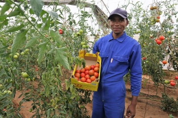 Les agriculteurs peuvent mieux conserver leurs fruits et légumes et recevoir des paiements rapides. 