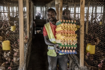 A man with chicken eggs in his hands.