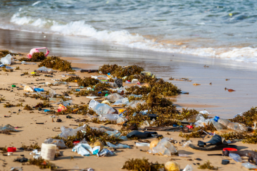 Plage jonchée de détritus à Loko Town, Yams Farm, Western Area, Sierra Leone 