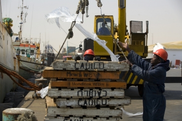 Walvis Bay on the Atlantic Ocean is the main port in Namibia and home to many fishing companies.