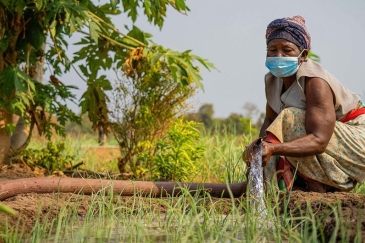 Femme travaillant dans un champ irrigué