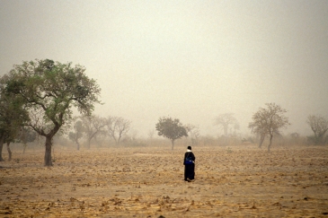 A woman walking through fields in Mali.