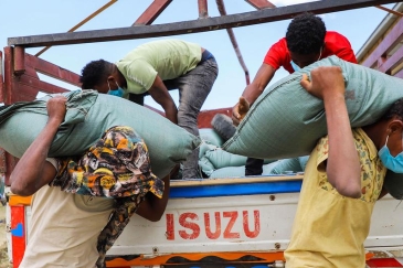 FAO and partners delivered 262 tonnes of fertilizer to the Tigray region of Ethiopia 