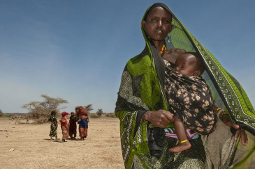  Drought in Kenya (pictured) and other countries in the Horn of Africa affects the most vulnerable