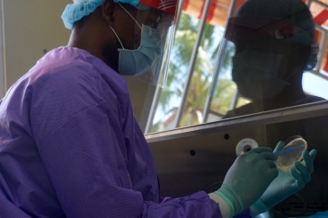 A laboratory technician tests a blood sample to screen for diseases.