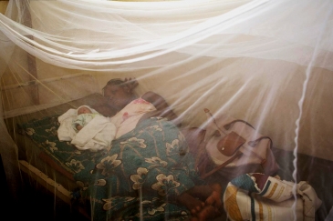 Le Togo est le premier pays africain à mettre fin à la maladie du sommeil comme problème...