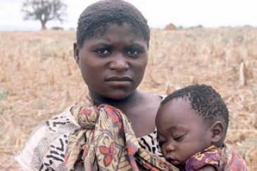 Zambia's withered grain fields: Does genetically modified relief food pose health risks?   Photo: ©WFP / Brenda Barton