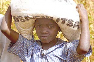 Food aid arrives in Malawi, but will the region get enough relief to prevent many more deaths?  Photo : ©WFP / Mike Higgins