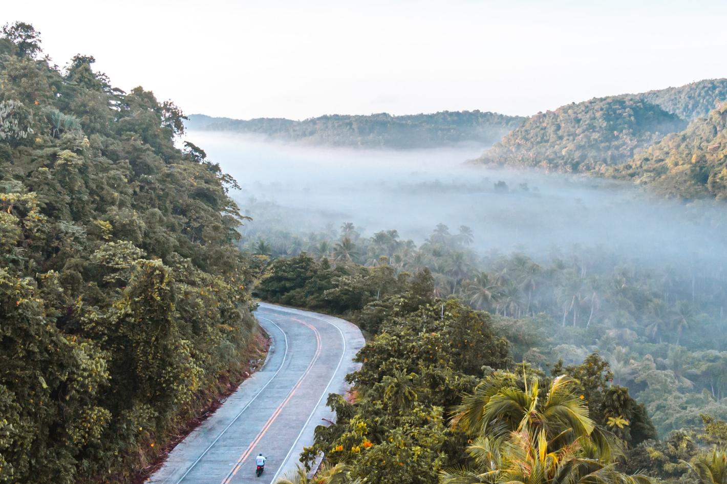Une route sinueuse traversant un paysage de jungle