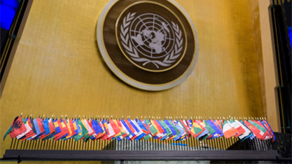 UN member states flags