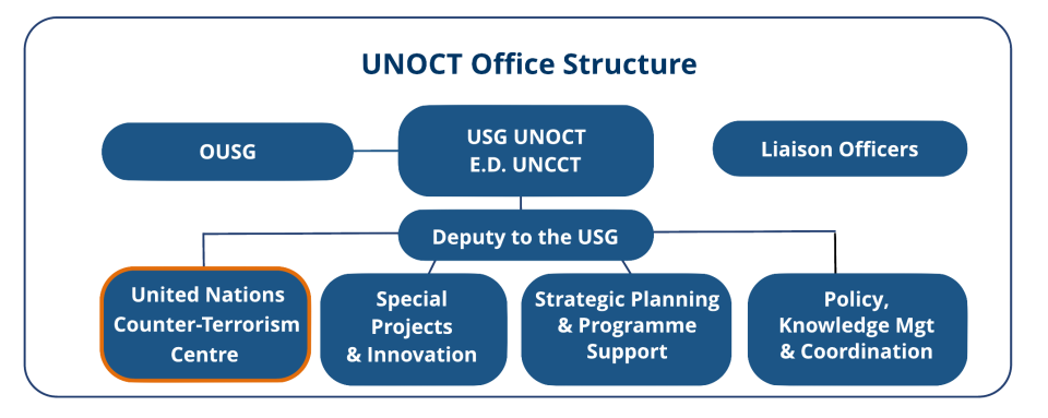 UNOCT office structure diagram