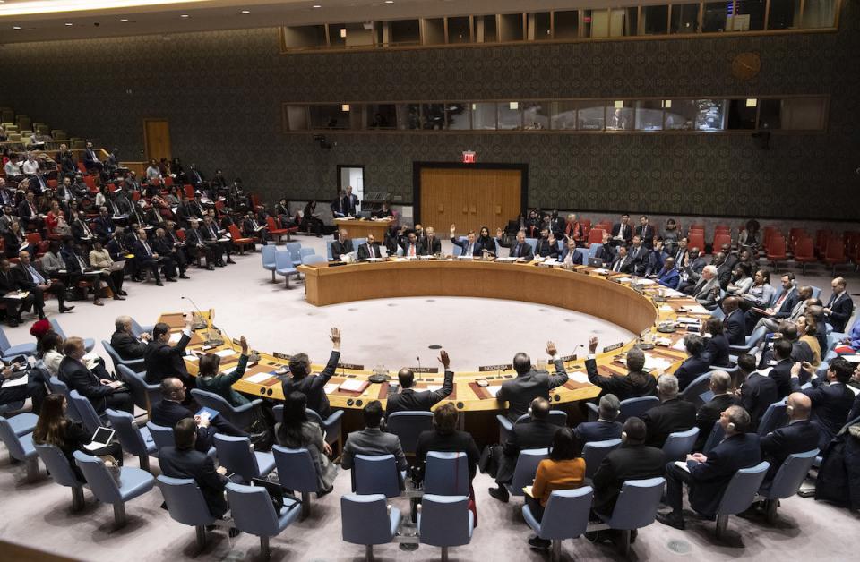Security Council Adopts Resolution