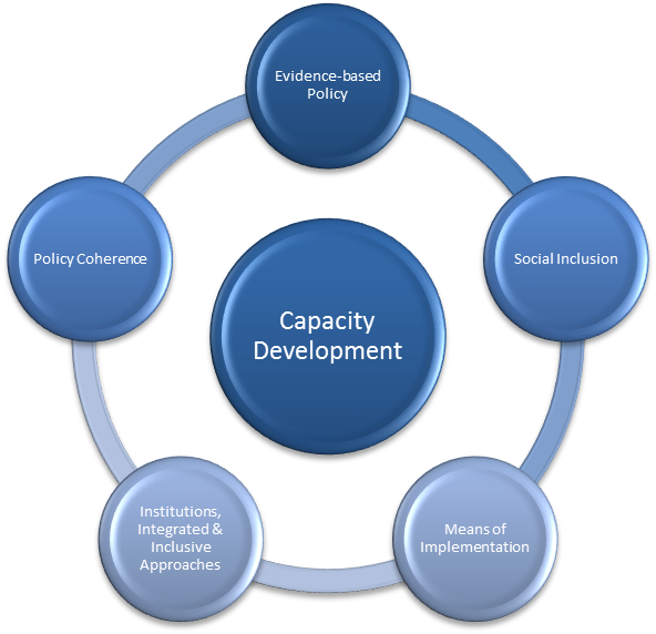 Areas of work Capacity Development