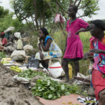 Call for submissions International Day of Cooperatives Photo Exhibition ‘Cooperatives: The power to act for a sustainable future’