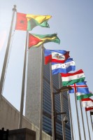 UN Flags outside UN Headquarters building in New York