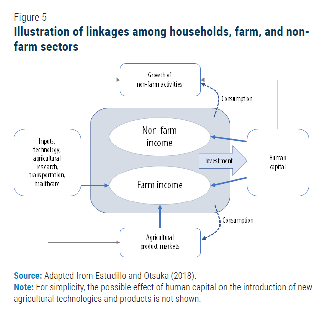 UN/DESA Policy Brief 120 Investing in the future of rural nonfarm
