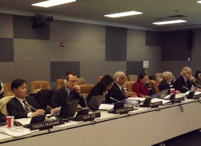 Committee for Development Policy Expert Group Meetings