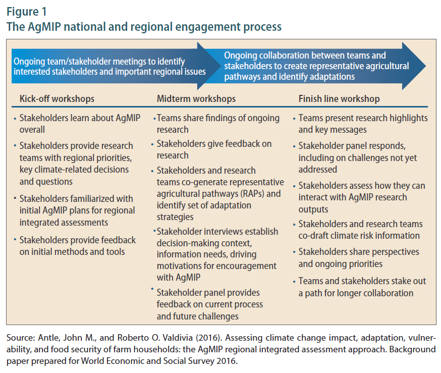 The AgMIP national and regional engagement process