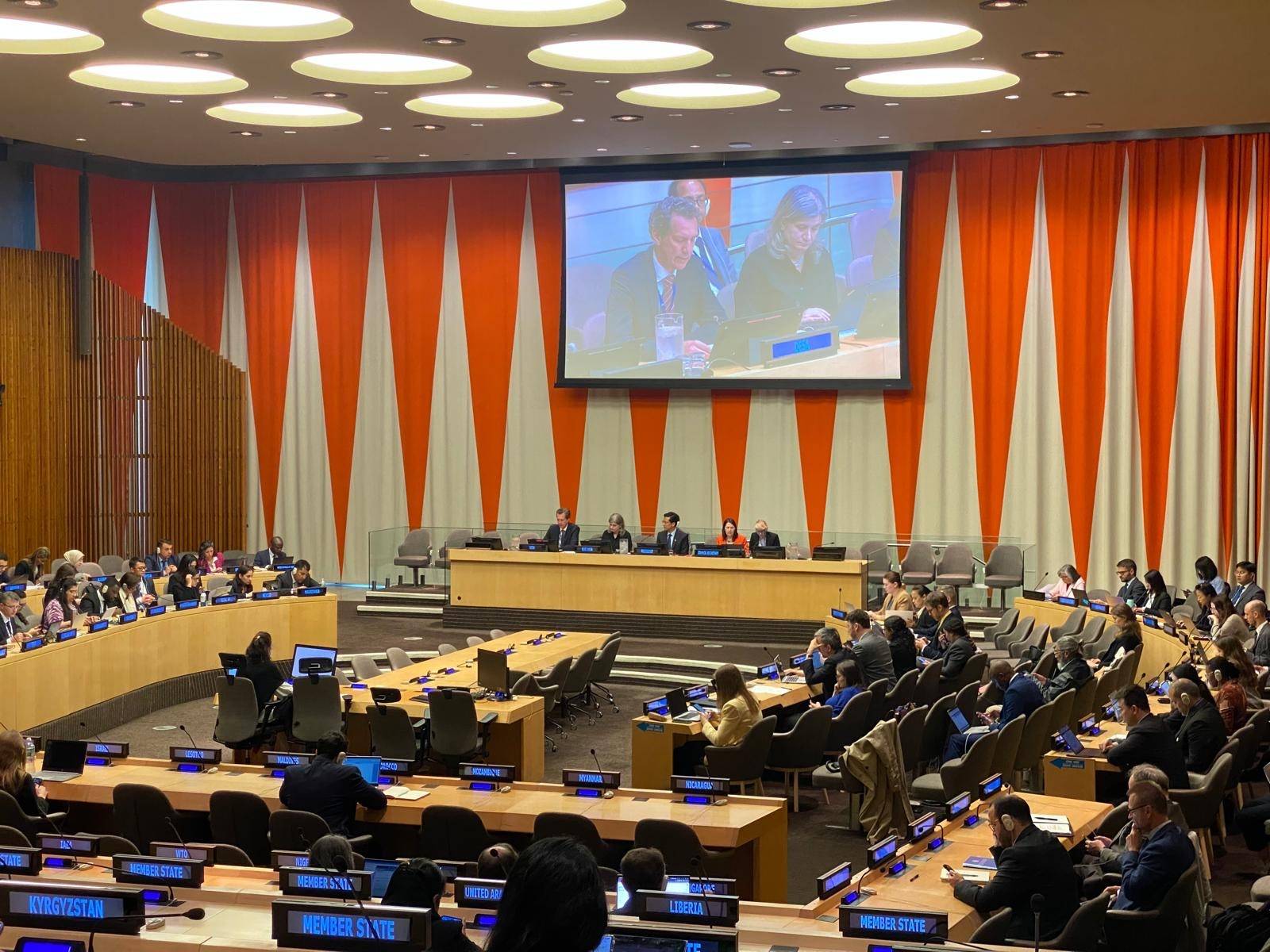 Presentation of the 2025 CDP Report to ECOSOC and adoption of the 2025 ECOSOC Resolution