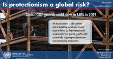 WESP 2018 Mid-year Update: Is protectionism a global risk?