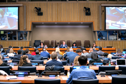 Commission For Social Development Csocd Disd United Nations Development Corporation