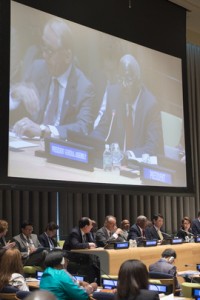 2015 ECOSOC High-Level Segment