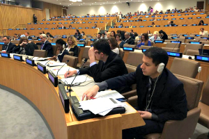 Fifth Working Session of the Open-ended Working Group on Ageing